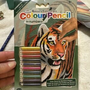 Royal & Langnickel(R) Mini Color Pencil By Number Kit 5"X7"-Jungle Tiger